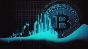 Buy Flash USDT Software